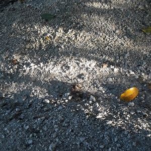 Meet your Posher, Jack