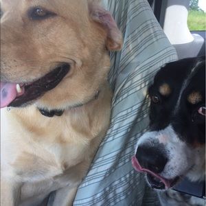 Meet your Posher, Jenny