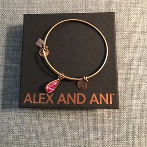 GUC Alex and Ani Bangle