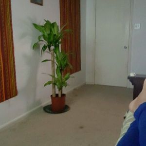 Meet your Posher, Cora