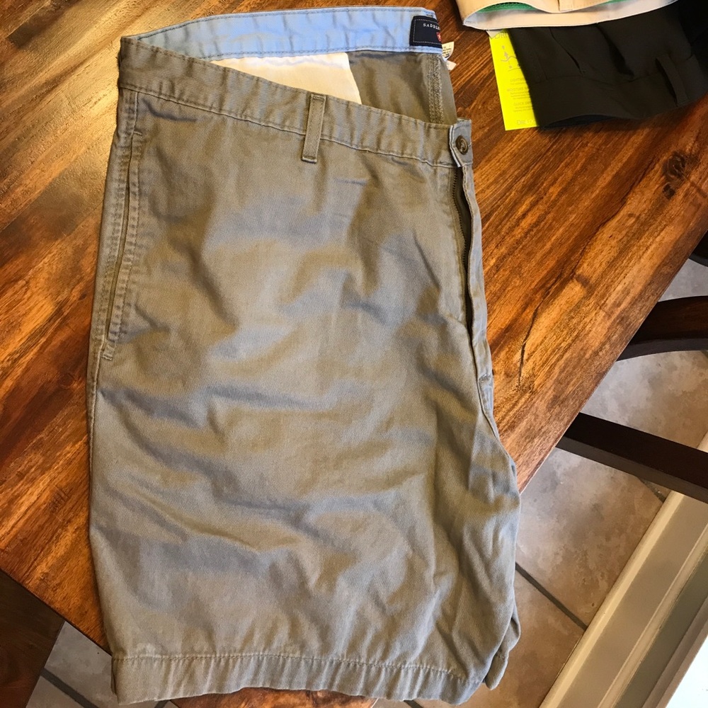 Saddlebred Great Condition