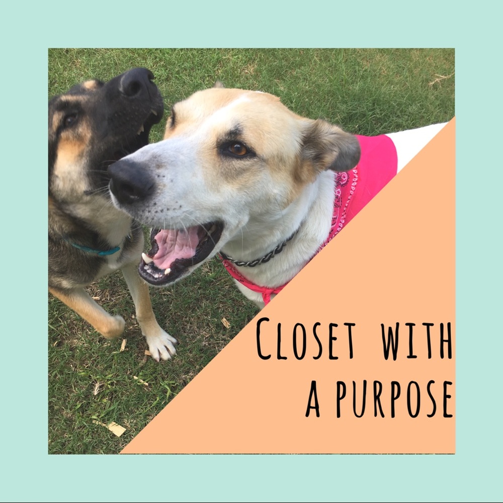 Portion of Sales Help Shelter Pets