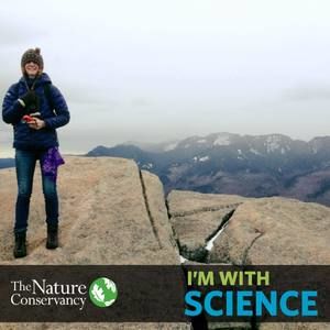 Meet your Posher, Betsy