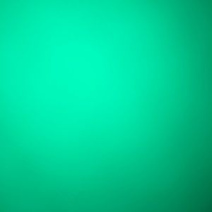 Meet your Posher, Laila