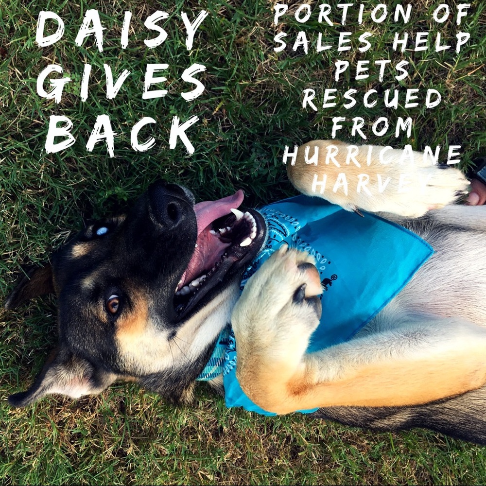 Doggie Doo Rags that give back to shelter pets
