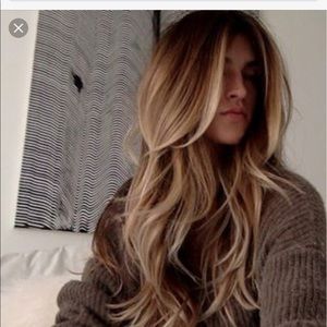 Meet your Posher, Lily