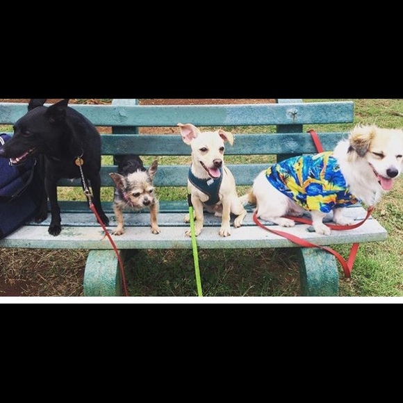 Meet your Posher Ambassador, Darcy - Picture 5 of 8