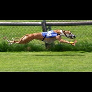 Meet your Posher, Ethan