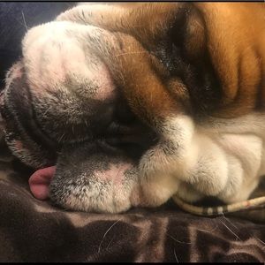 Meet your Posher, Jillian