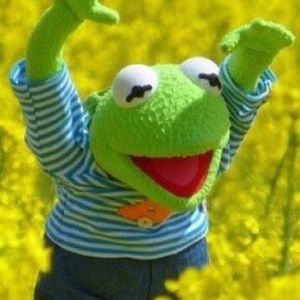 Meet your Posher, Alex