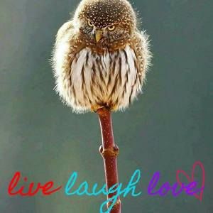 Meet your Posher, Max