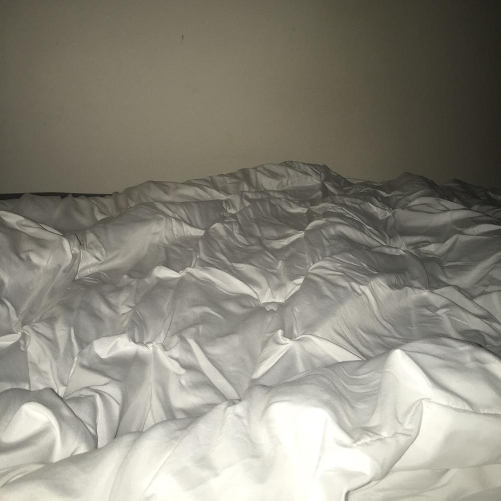 Meet your Posher, Priscilla