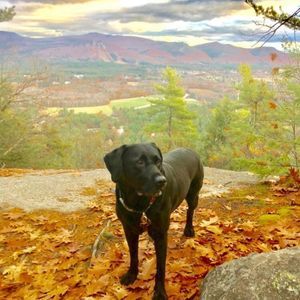 Meet your Posher, Jay