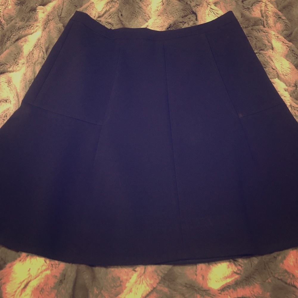 J.Crew Navy Skater Skirt