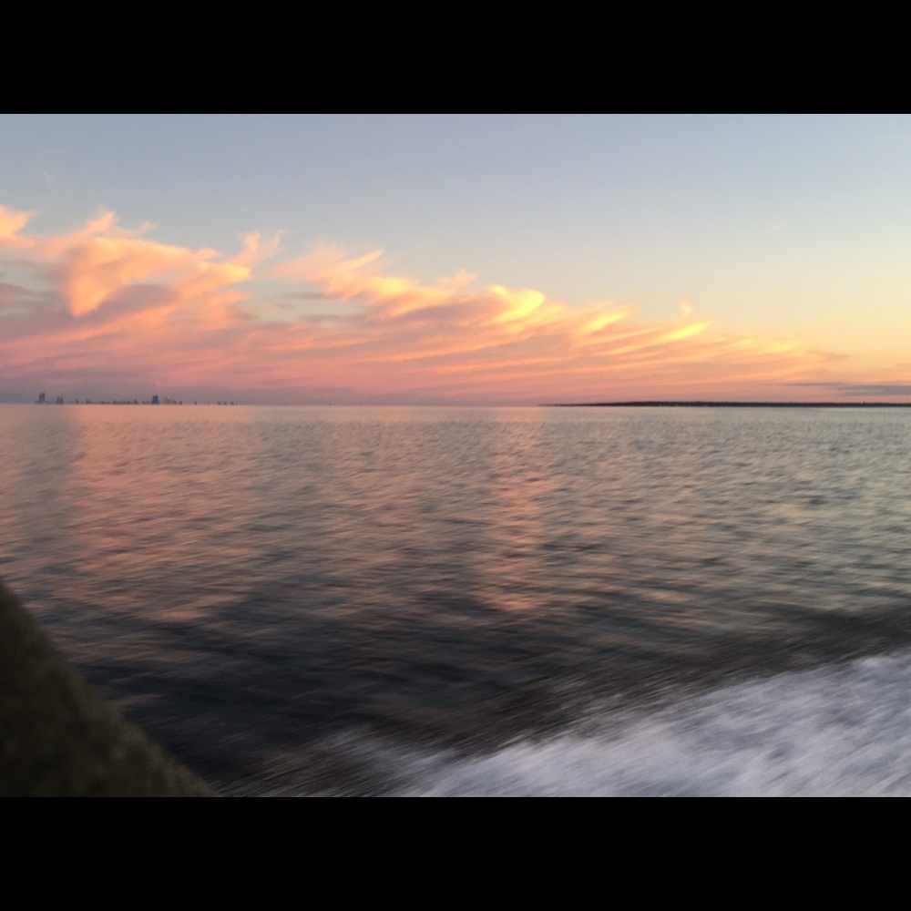 Meet your Posher, Annie