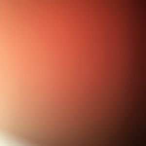 Meet your Posher, Moises