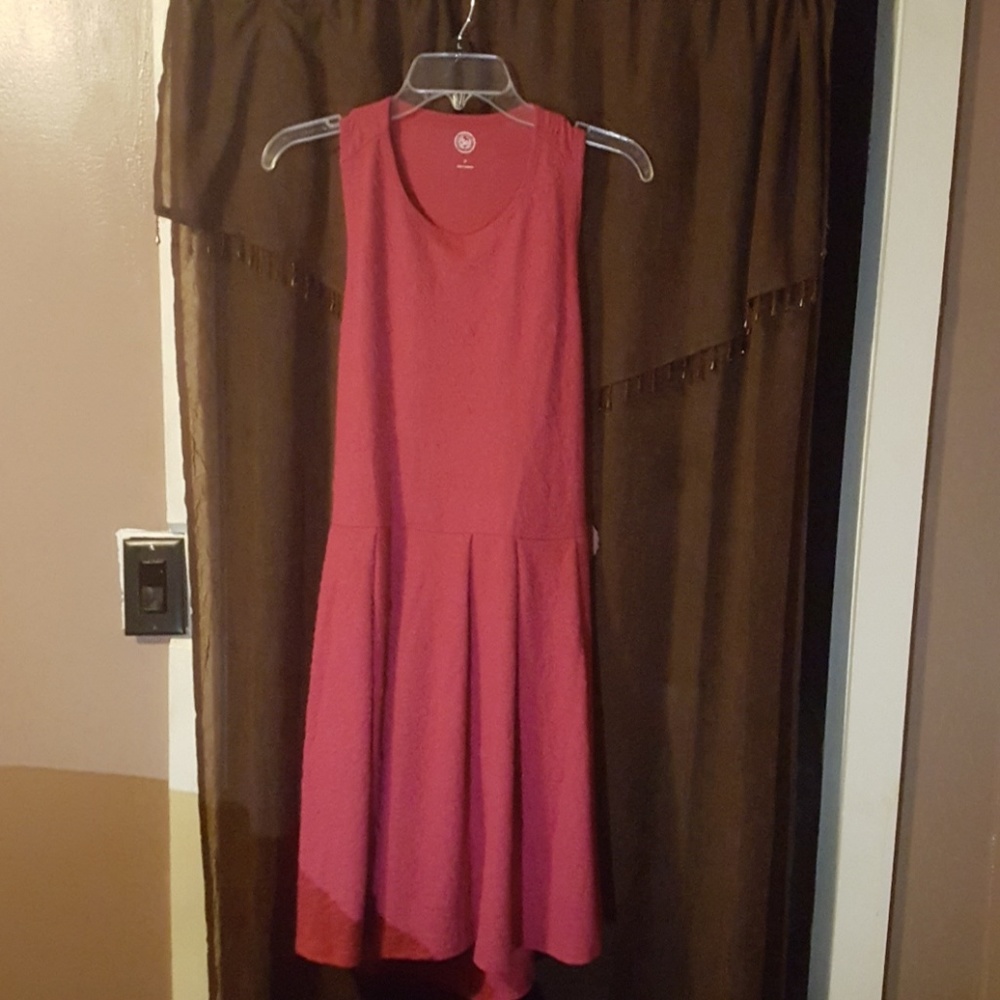 Light cranberry skater dress 2x BNWT SO brand