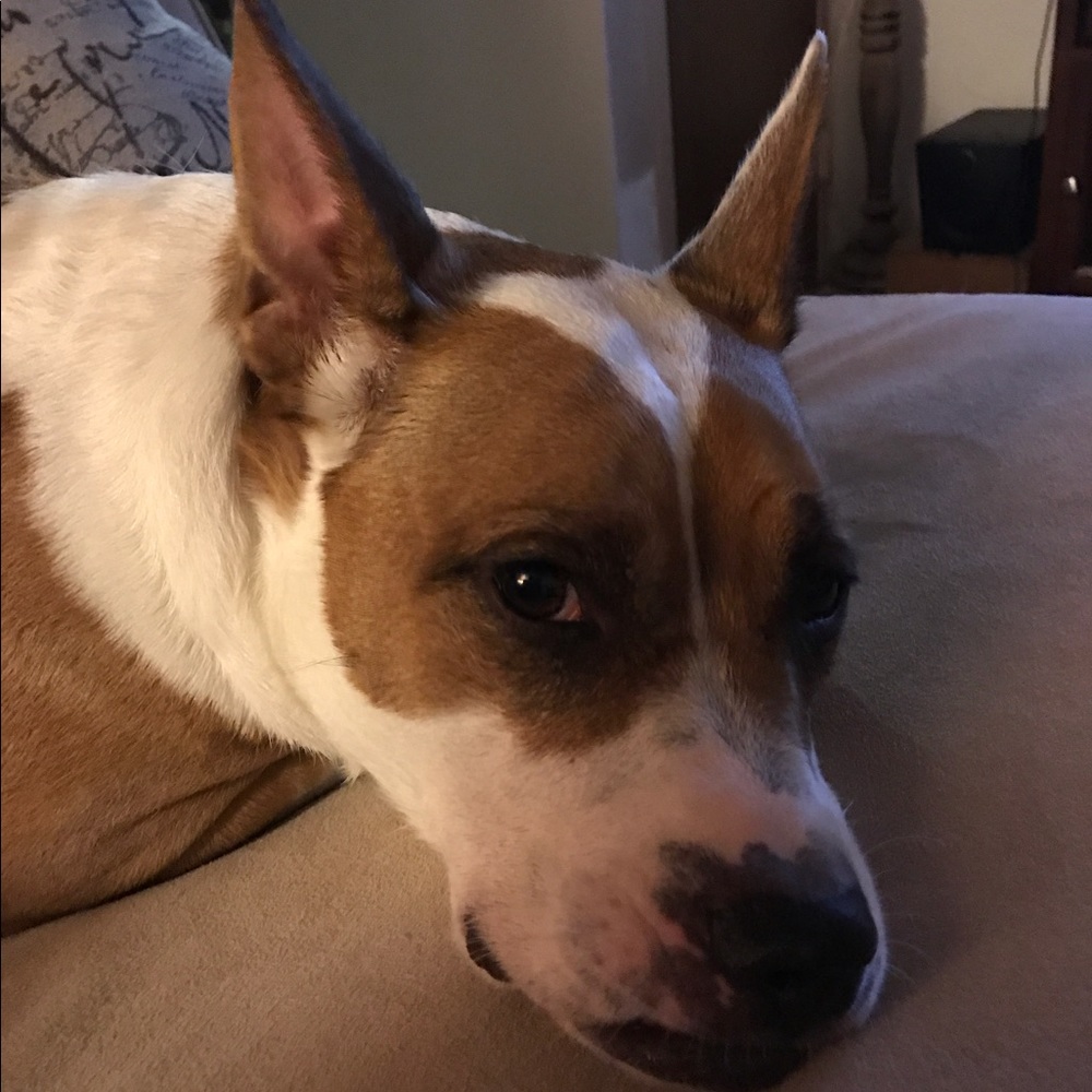 Meet your Posher, Ana