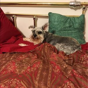 Meet your Posher, Francesca