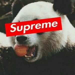 Meet your Posher, Jared