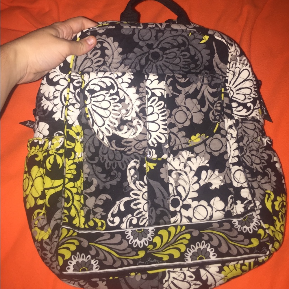 Backpack and/or Purse