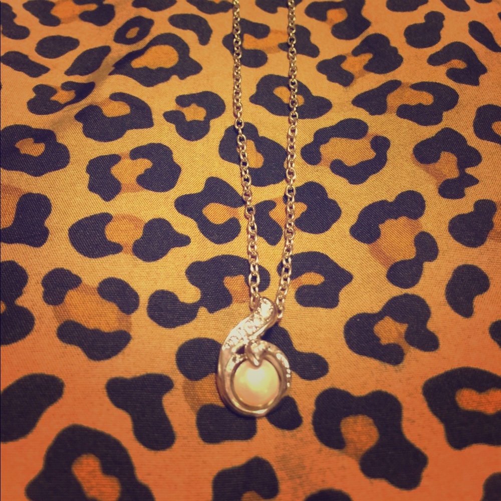 Sterling Sliver Neckless ✨