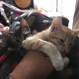 Meet your Posher, Jennifer