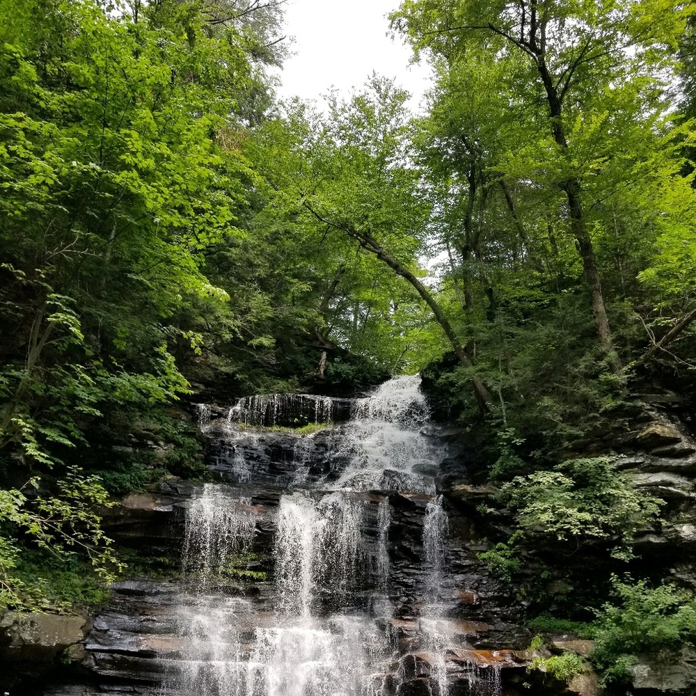 Meet your Posher, Marcy