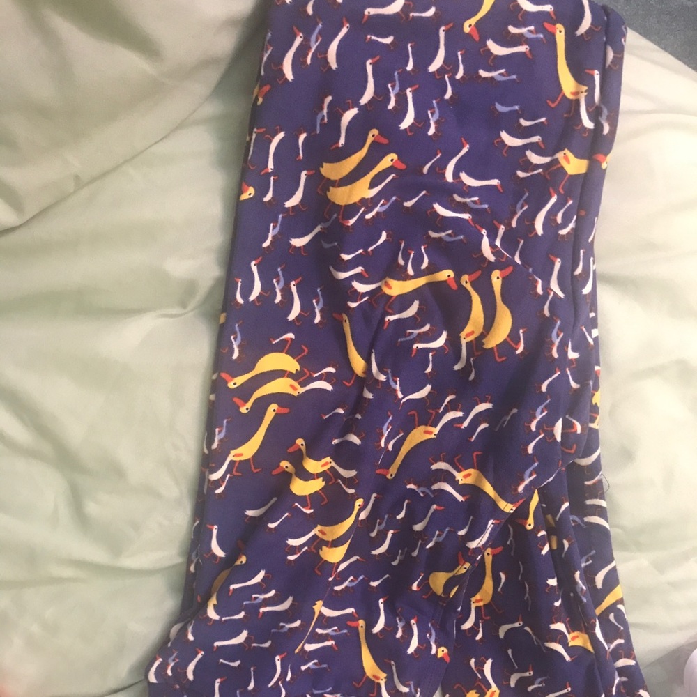 LLR Ducks Brand New