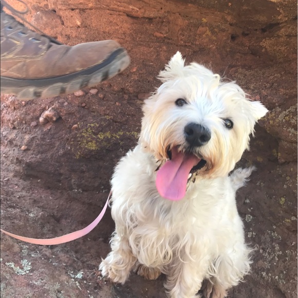 Meet your Posher, Sarah - Picture 1 of 1