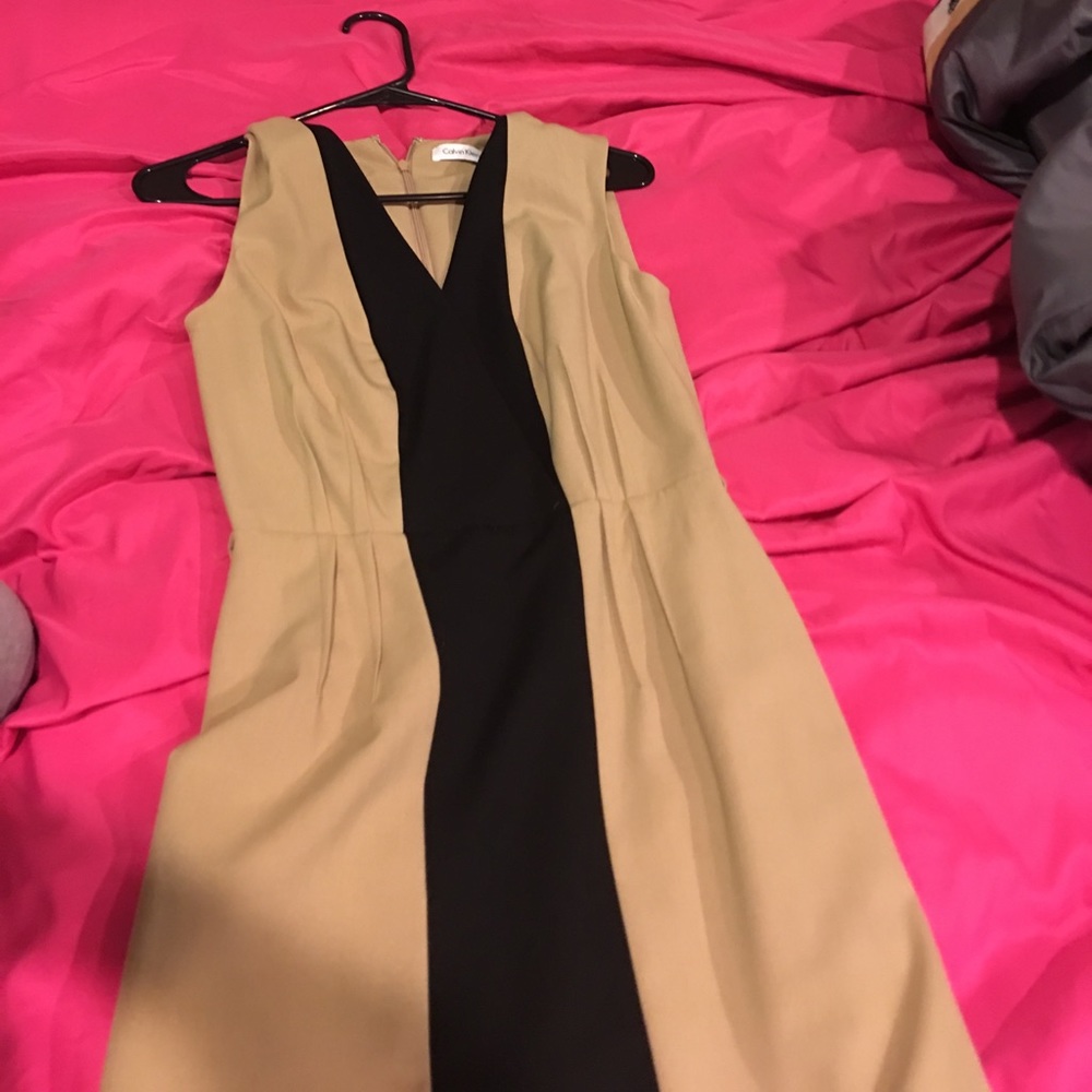 A Brown and Black Calvin Klein Dress