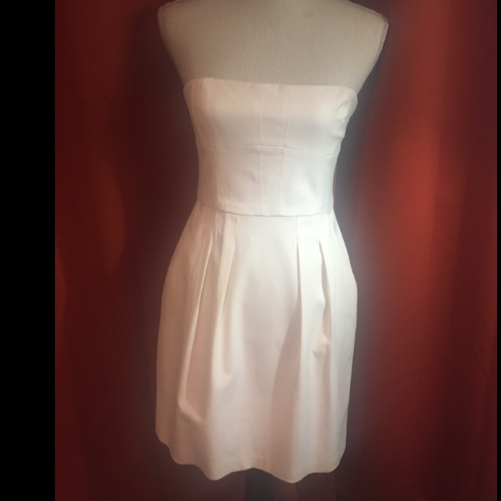 BCBG Corset Dress