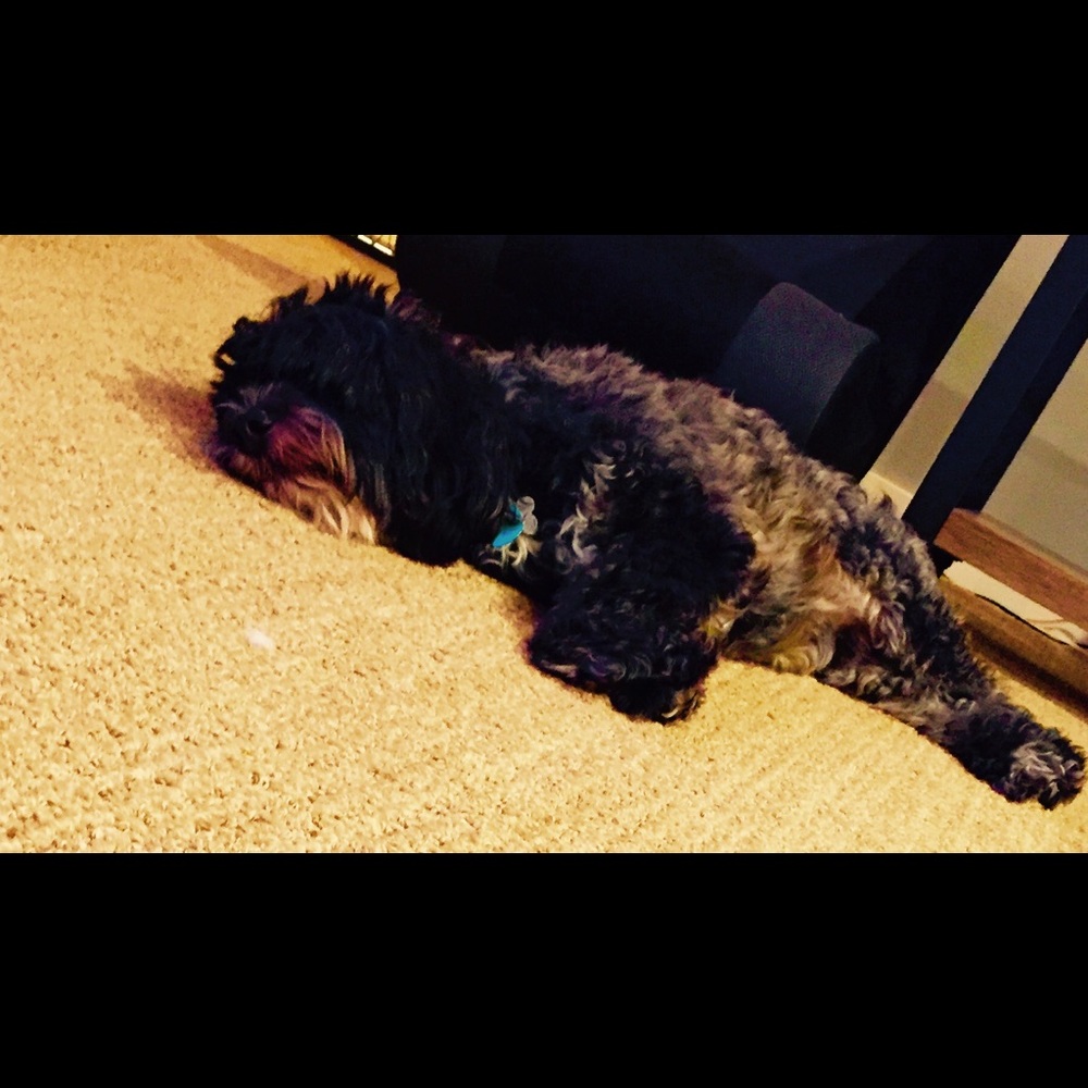 Meet your Posher, Kelly