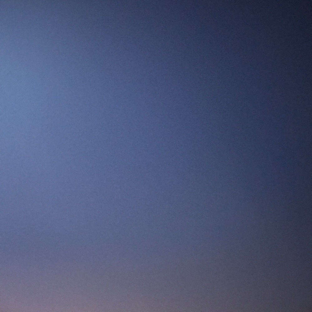 Meet your Posher, Alvin