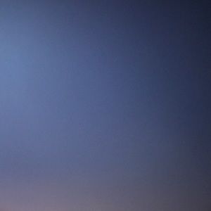 Meet your Posher, Alvin