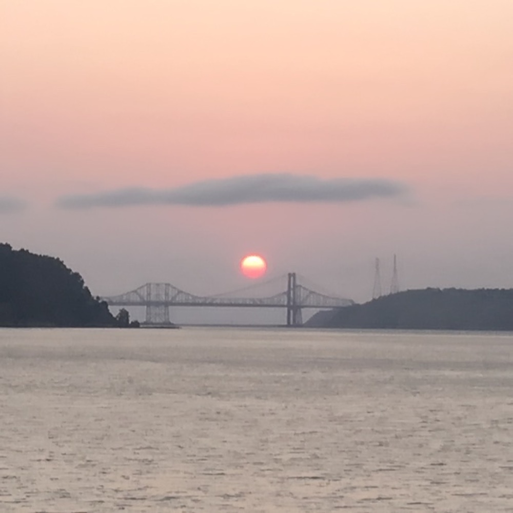 Meet your Posher, Marilyn