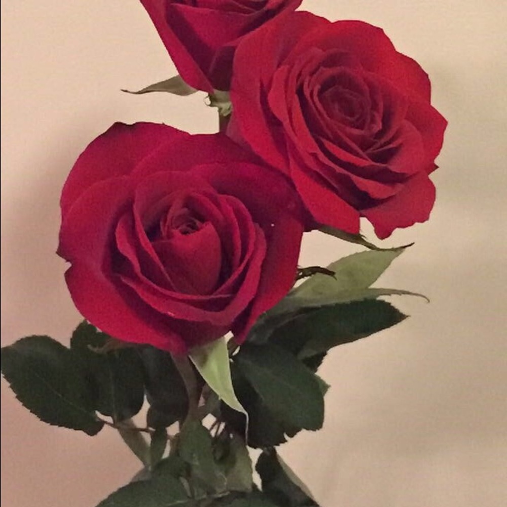 Meet your Posher, Karina