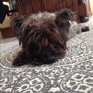 Meet your Posher, Loubs