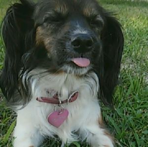 Meet your Posher, Angeles