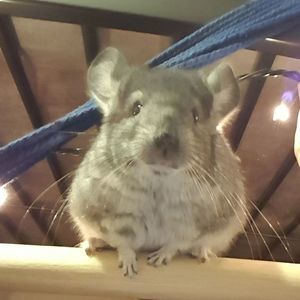 Meet your Posher, Caitlin