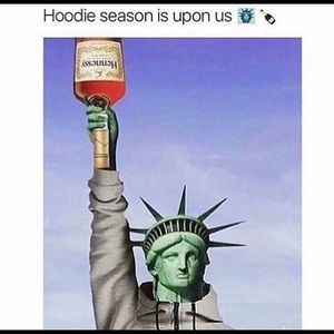 Meet your Posher, Daisy