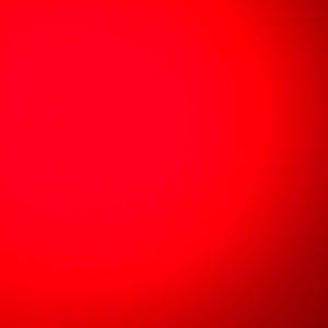 Meet your Posher, Will