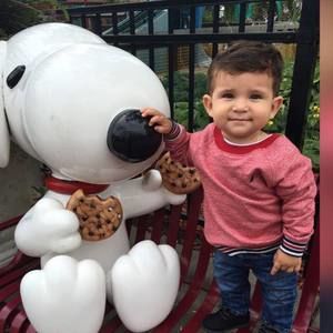 Meet your Posher, Yesenia