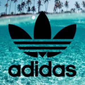 Meet your Posher, Dominic