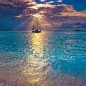 Meet your Posher, Carol