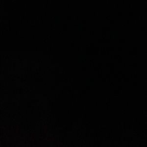 Meet your Posher, Dennis