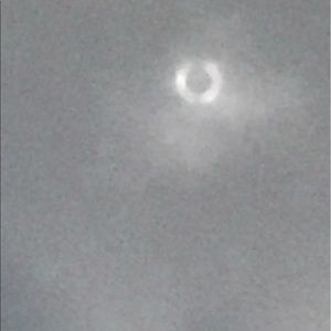 Meet your Posher, Allen