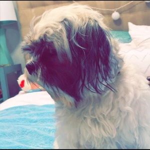 Meet your Posher, Isabella