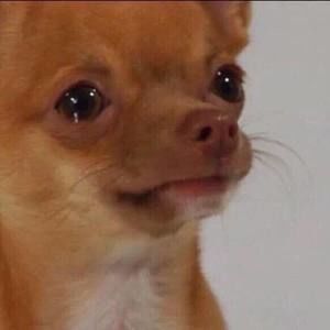 Meet your Posher, Sebastian