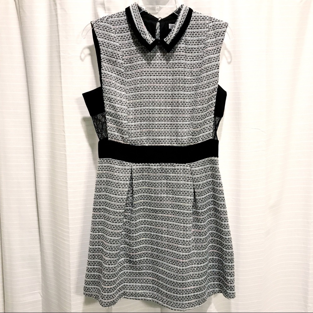 BCBGeneration Grey Collared Tweed Mini Dress